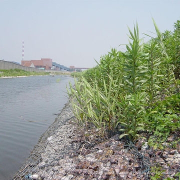 Высокое Качество Гальванизированное Шестиугольное Gabion Тюфяка